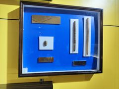 -上海昆虫博物馆