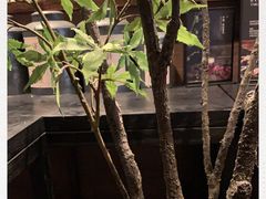 -阿嬷手作(南宁百盛印象城店)