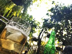 -Fern Forest Cafe