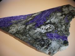 -陕西自然博物馆