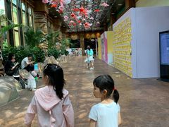 -杭州开元森泊度假乐园