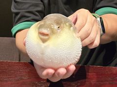 -永安鱼庄·镇江菜(东吴路店)