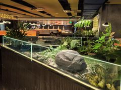 -星伦多自助料理·涮烤一体(虹悦城店)