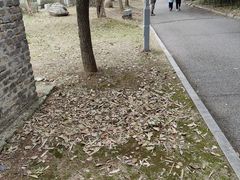 -杏花村文化旅游区
