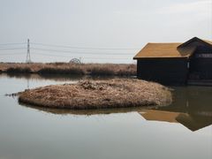 -宁波杭州湾国家湿地公园