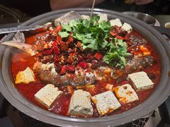 -师烤·豆花烤鱼(广州荔湾扬韬广场店)