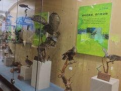 -陕西自然博物馆