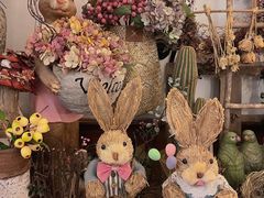 -春风·有糖(崇宁路店)