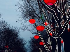 -大唐不夜城