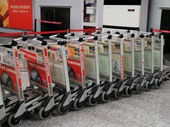 -黄山屯溪国际机场