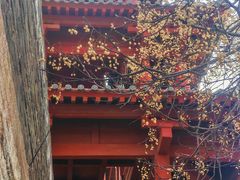 -函谷关历史文化旅游区