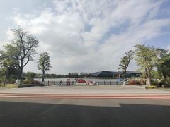 -上海长兴岛郊野公园