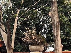 -麗枫酒店(深圳机场福永地铁站店)