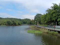 -大屏嶂森林公园