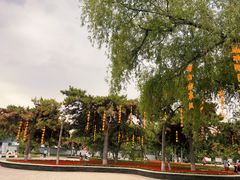 -万泉公园