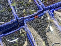 -江杨农产品批发市场