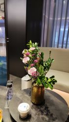 -美壹生诊所皮肤管理中心·海菲秀&Legacy美白舱