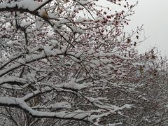 -碑林公园