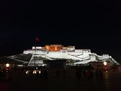 -麦当劳(塔园路店)