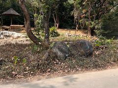 -深圳野生动物园