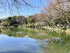 -八卦田遗址公园