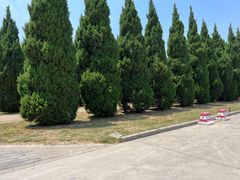 -秦始皇帝陵博物院-丽山园