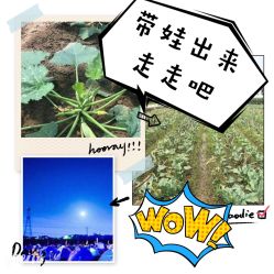-麦粒鸟亲子游