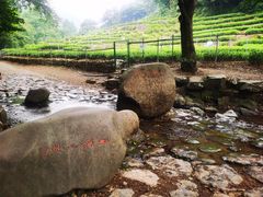 -西湖风景区十里琅珰-五云山