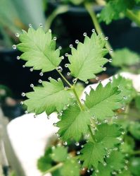 -Oasis Beauty水磨坊科技美肤中心