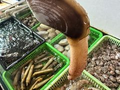 -凯华海鲜火锅·传承三十六年