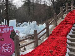 -洛阳白云山景区