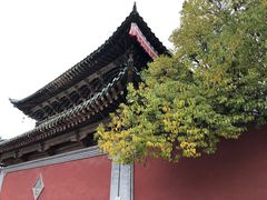 -塔尔寺游客服务中心