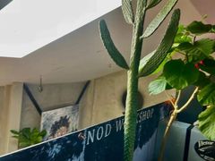 -nodcafe(M50创意园店)