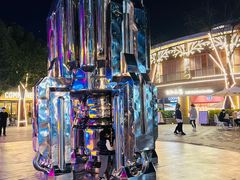 -芙蓉堂(武汉天地店)