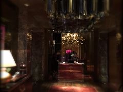 -金轩中餐厅 Jin Xuan(浦东丽思卡尔顿酒店)