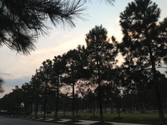 IMG_1476-同济大学(嘉定校区)