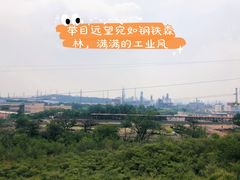 -白水寺森林公园