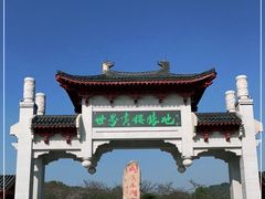 -东湖磨山景区樱花园-停车场
