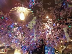 -波波's蛋糕店(于洪广场店)
