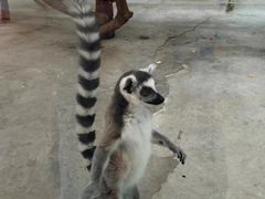 -奶奶的美食(通州梨园店)