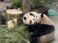 -杭州动物园