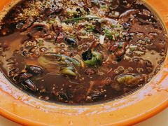 -向外鱼乐·土菜·虹鳟鱼