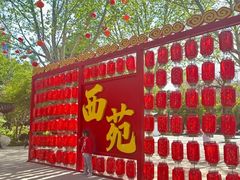 -西苑公园