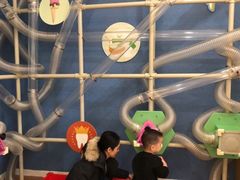 -乐融婴幼儿成长中心(四季青校区)