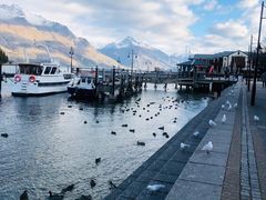 -Patagonia Chocolates(皇后镇店)