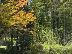 -东明山森林公园