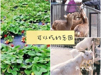 可以吃喝玩乐必去的游乐园