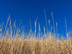 -萍乡武功山风景名胜区