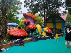 -苏州乐园森林水世界