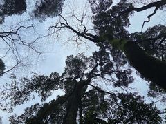 -缙云山景区
